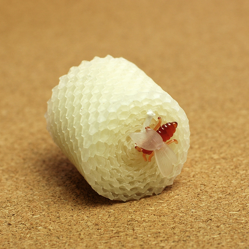 子供の誕生日パーティー用品結婚式の誕生日キャンドルケーキデコ - Wedding Supply Decor のレビューと価格